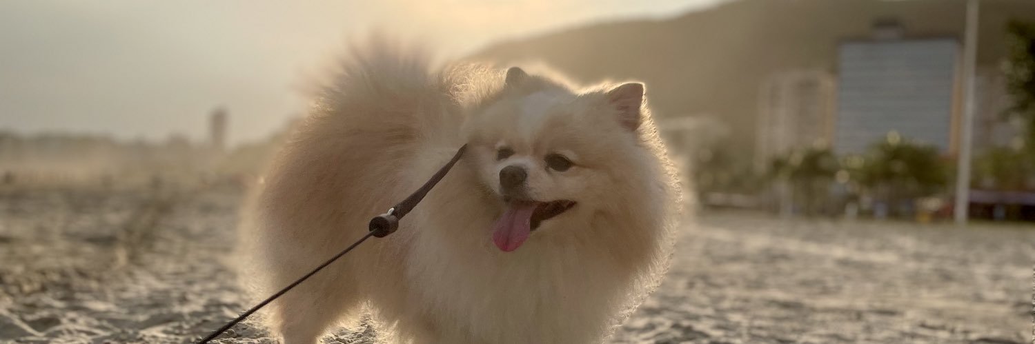 oliveiramiaa's profile banner image