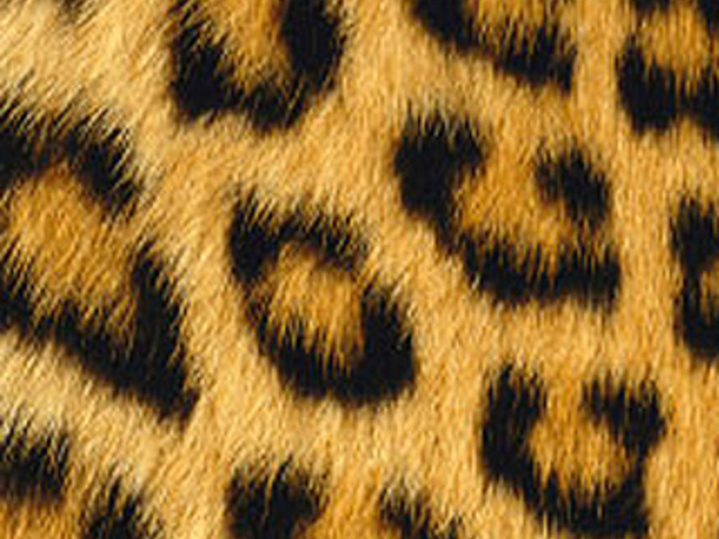missj171's profile banner image