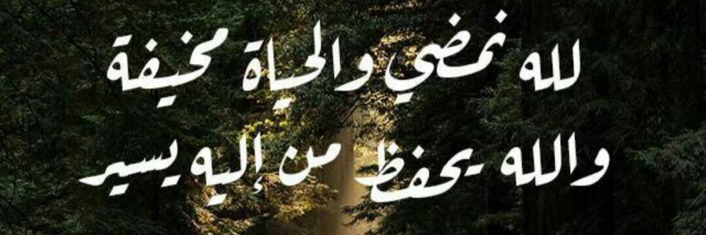 شـــﮫــد banner