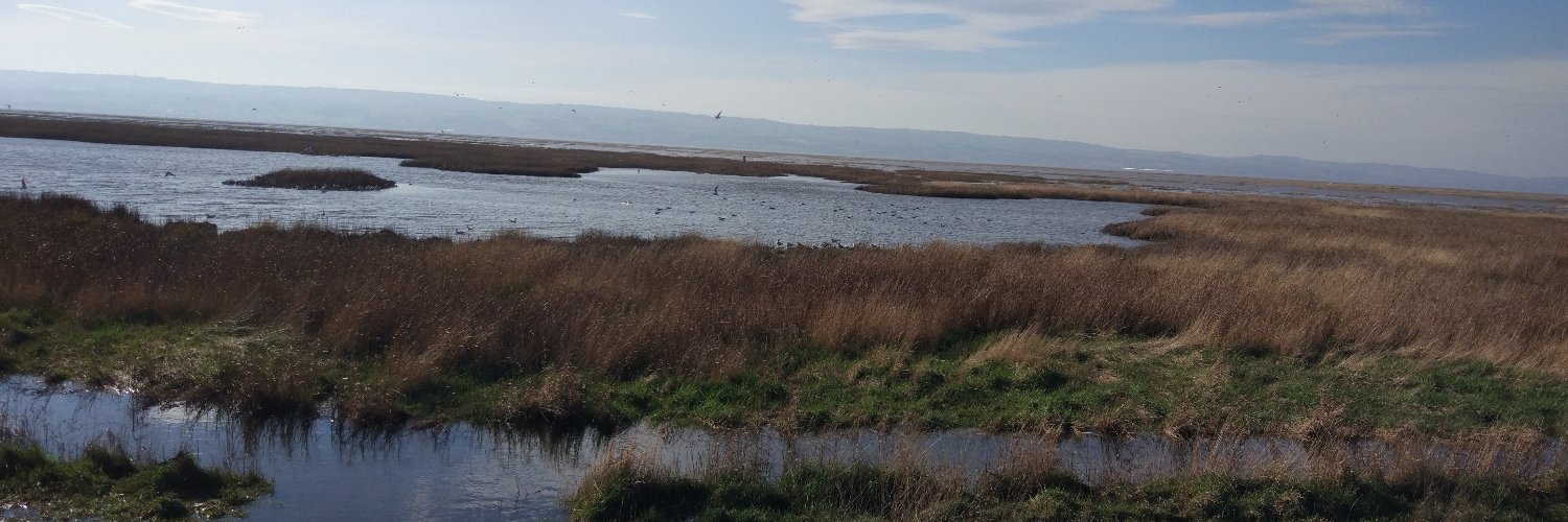 baillieman2's profile banner image
