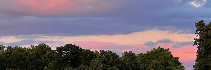 syasya 🍉 banner