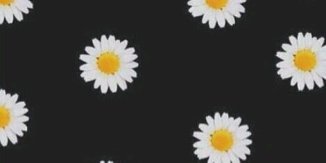 marchaxo's profile banner image