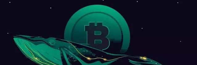 bnb_cryptosol's profile banner image
