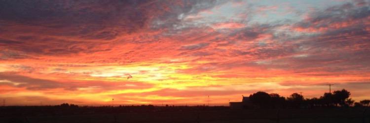 Fco José Espada banner