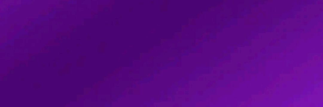Bronwayne Ferris banner