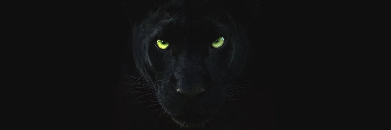 JordanGomar's profile banner image
