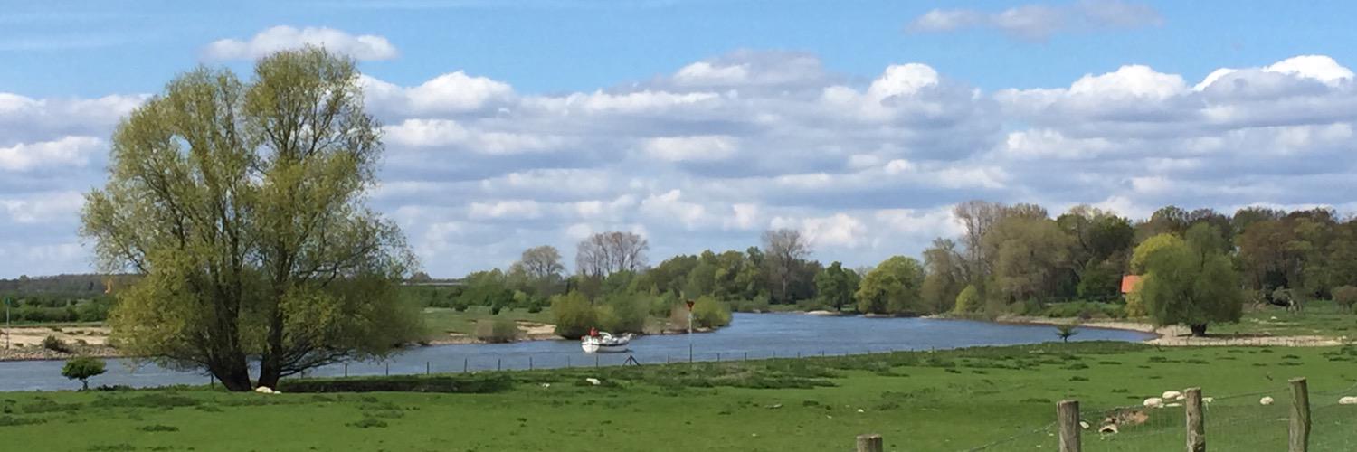 Wineke_dB's profile banner image