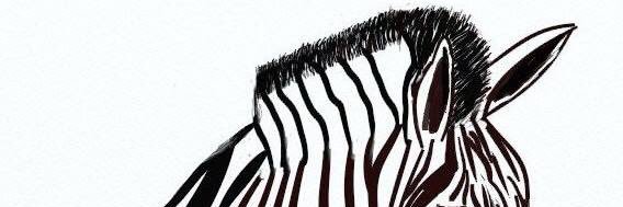 leechie11294's profile banner image