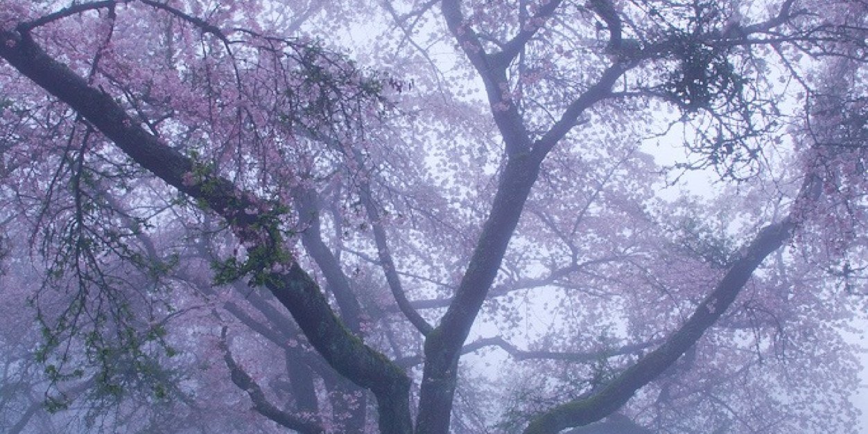 ughcinderella's profile banner image