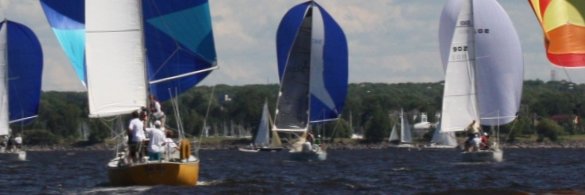 Michael Baran banner