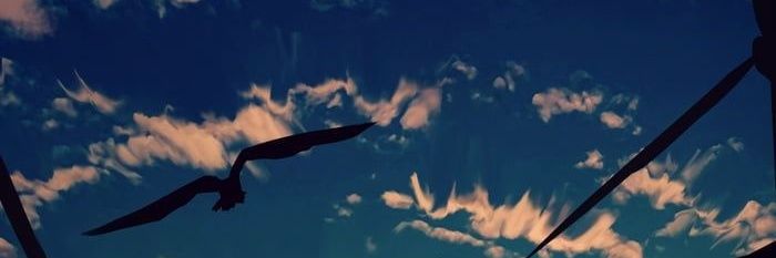 Elektraae's profile banner image
