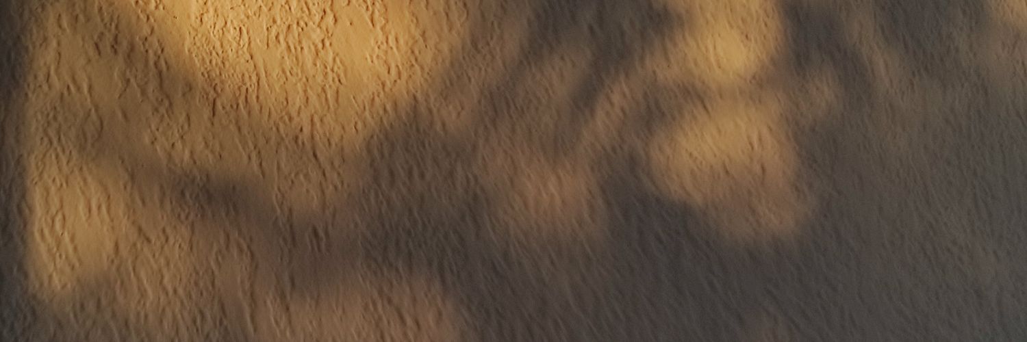 heonychan's profile banner image
