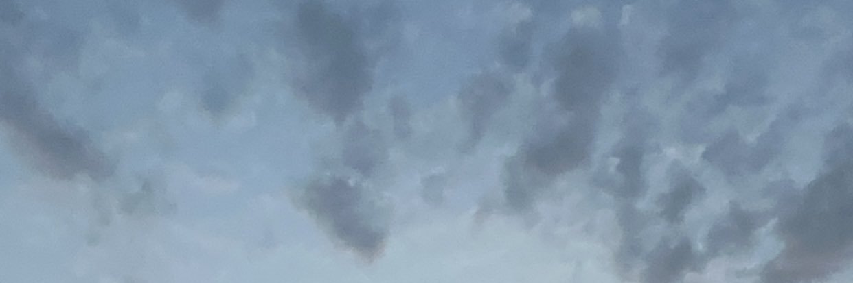 🌸 banner