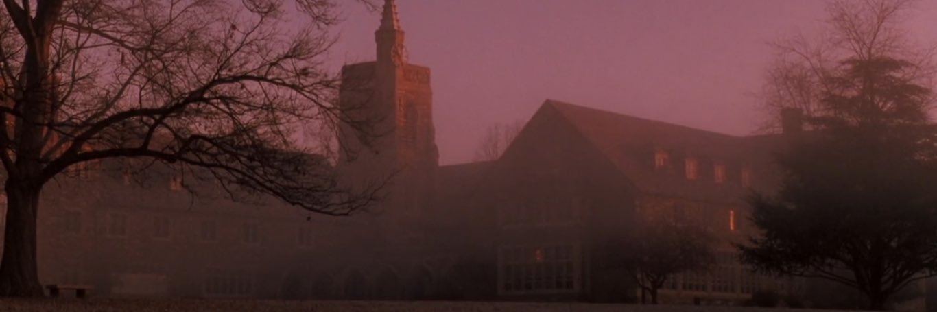 chynessm's profile banner image