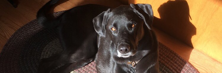 kdotconroy's profile banner image