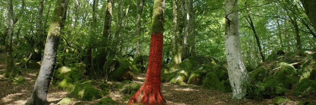 Bea Salaberri banner