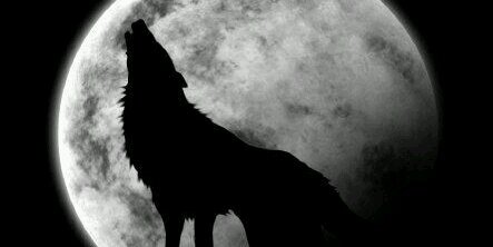 hiii__ro____'s profile banner image