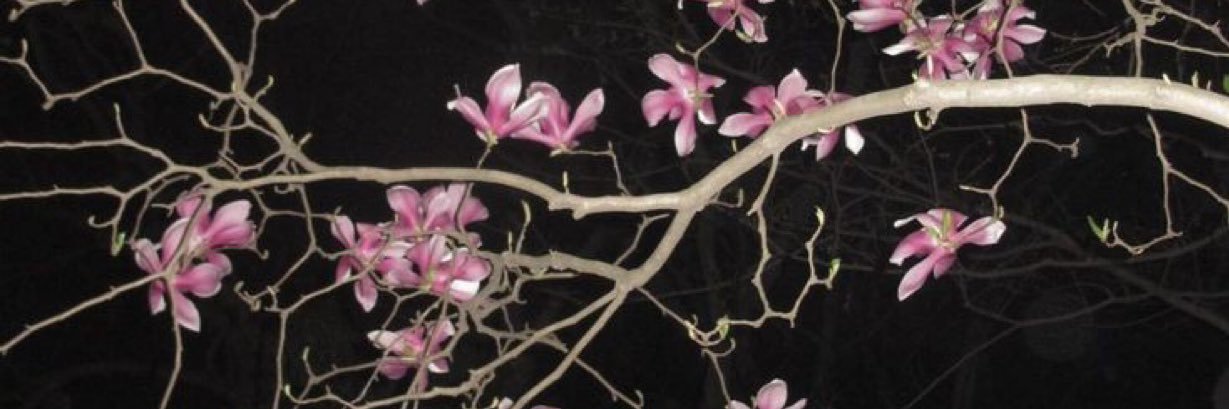 Luxurious_beaud's profile banner image