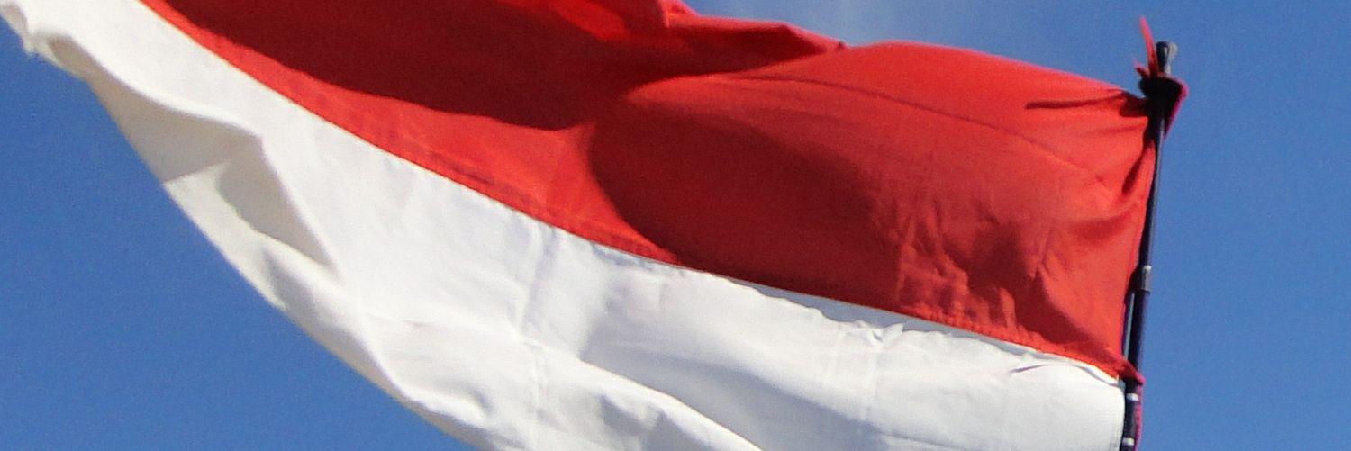 syahrulbeginner's profile banner image