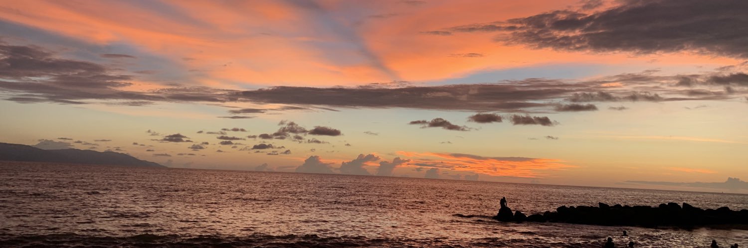pichirova's profile banner image