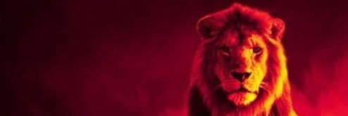onurca7's profile banner image