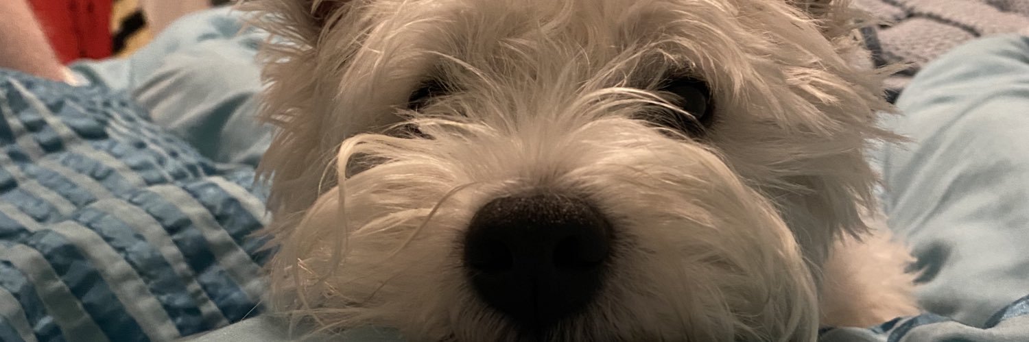 Tiph_Hartwell's profile banner image