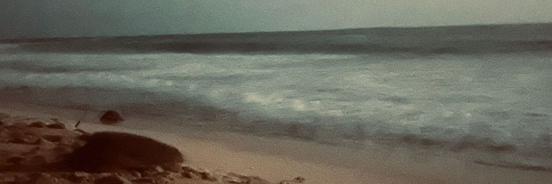 MattRAFC's profile banner image