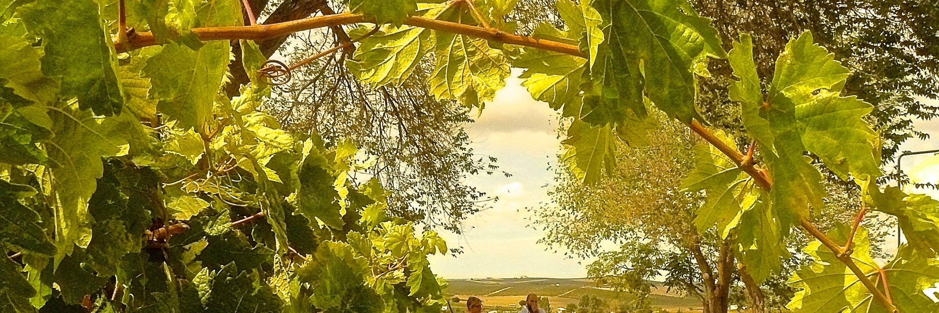 FerMuGar's profile banner image