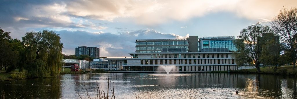 Pascal Vrtička banner