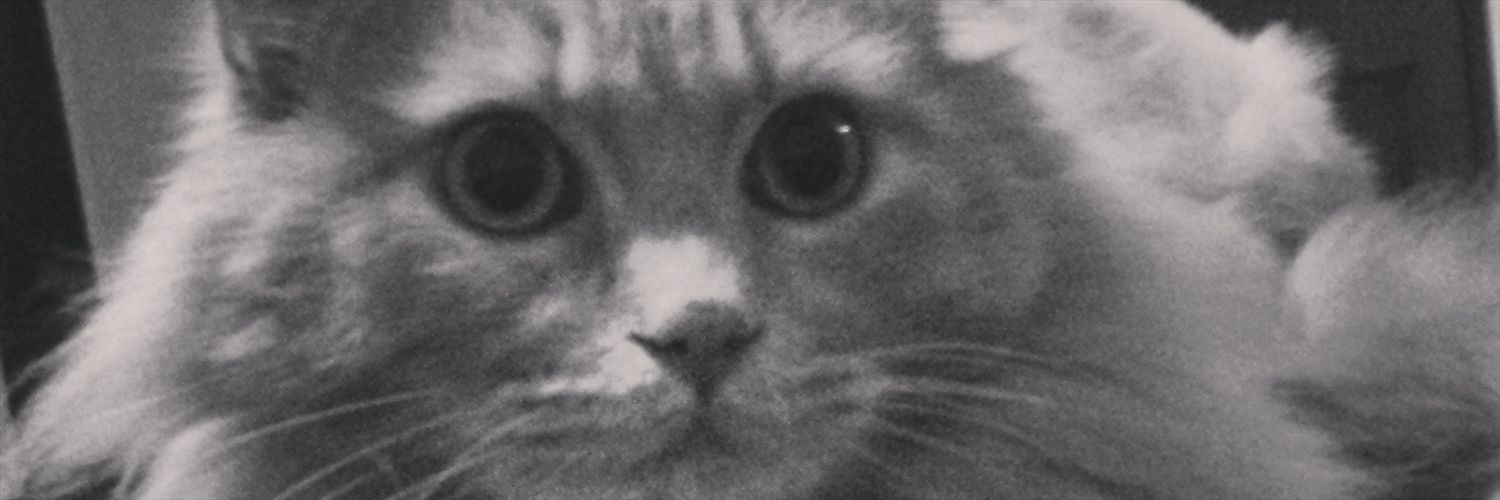 MarijosRaGa's profile banner image