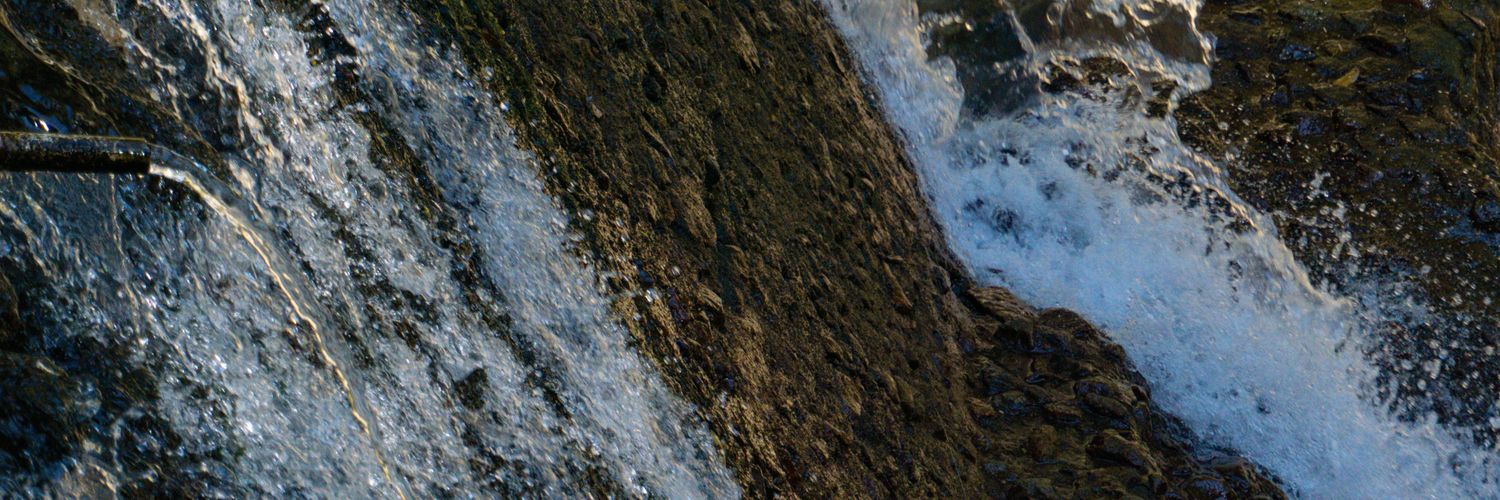 limaanty's profile banner image