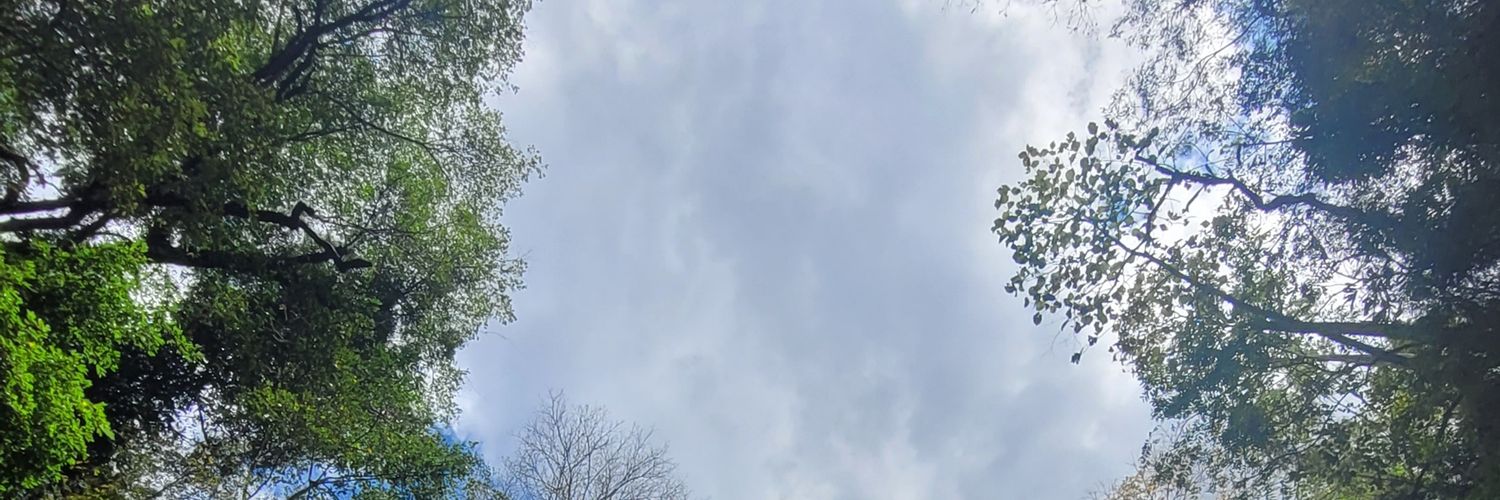 adrisinapuros's profile banner image