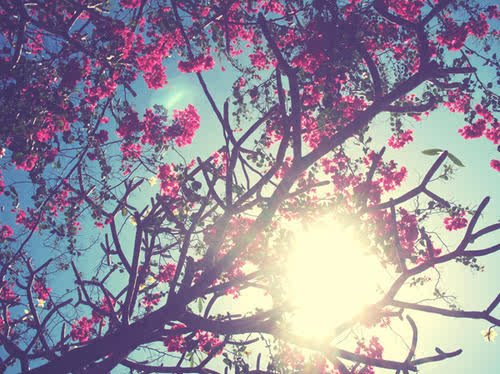 MoedInAfrikaans's profile banner image