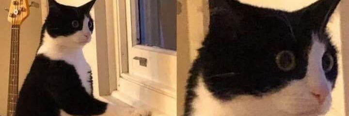 Nlsemon's profile banner image