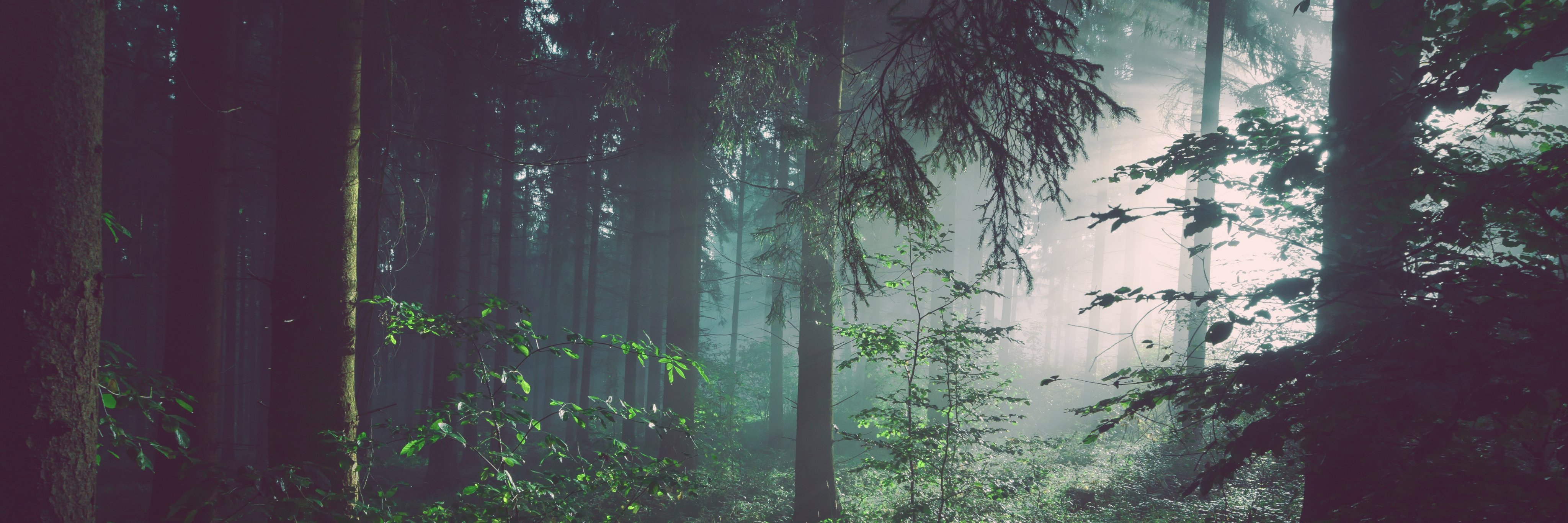 Cainbridge's profile banner image