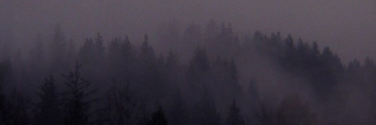 longlivedelia's profile banner image