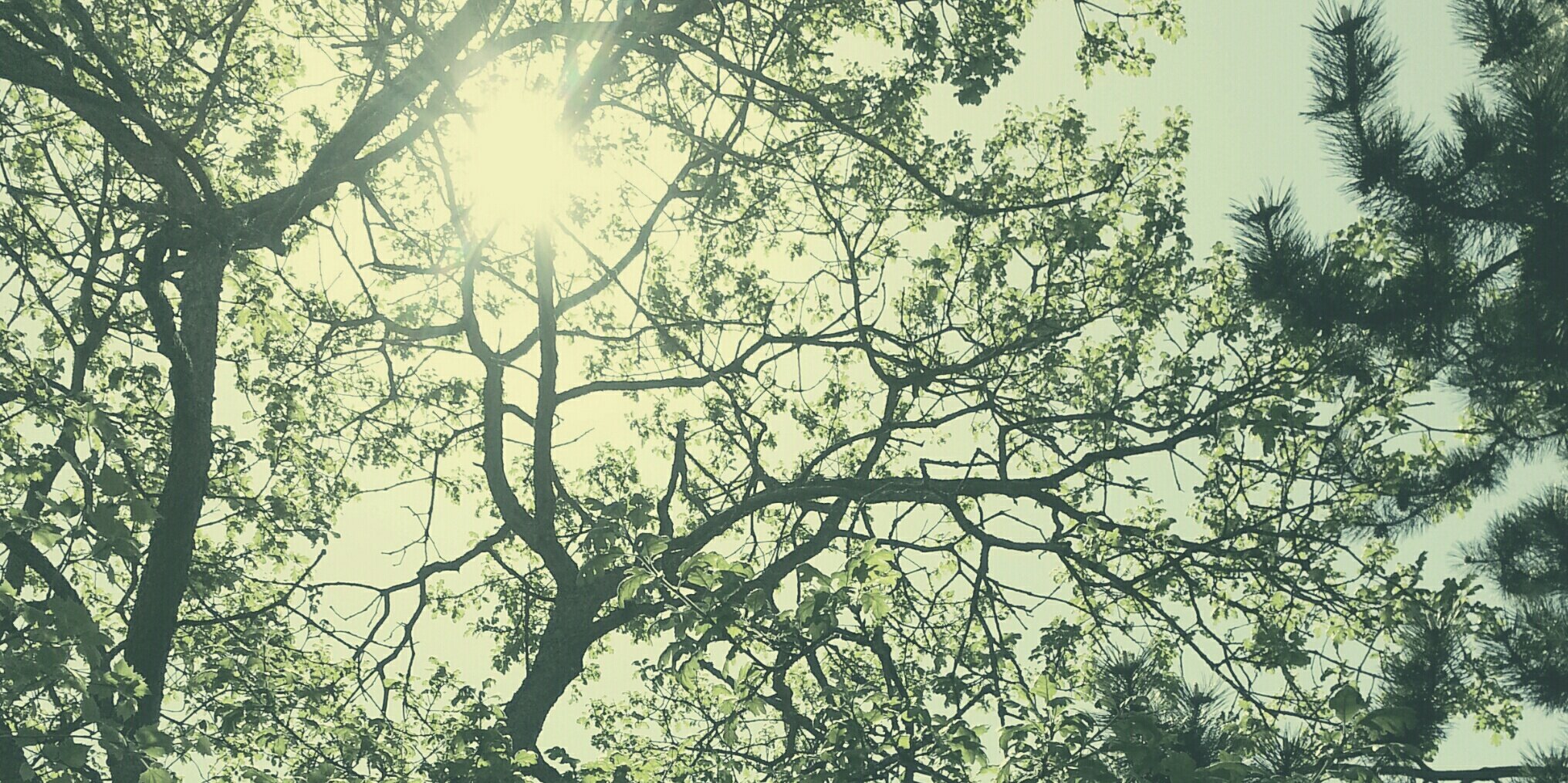 JonnyRobes's profile banner image