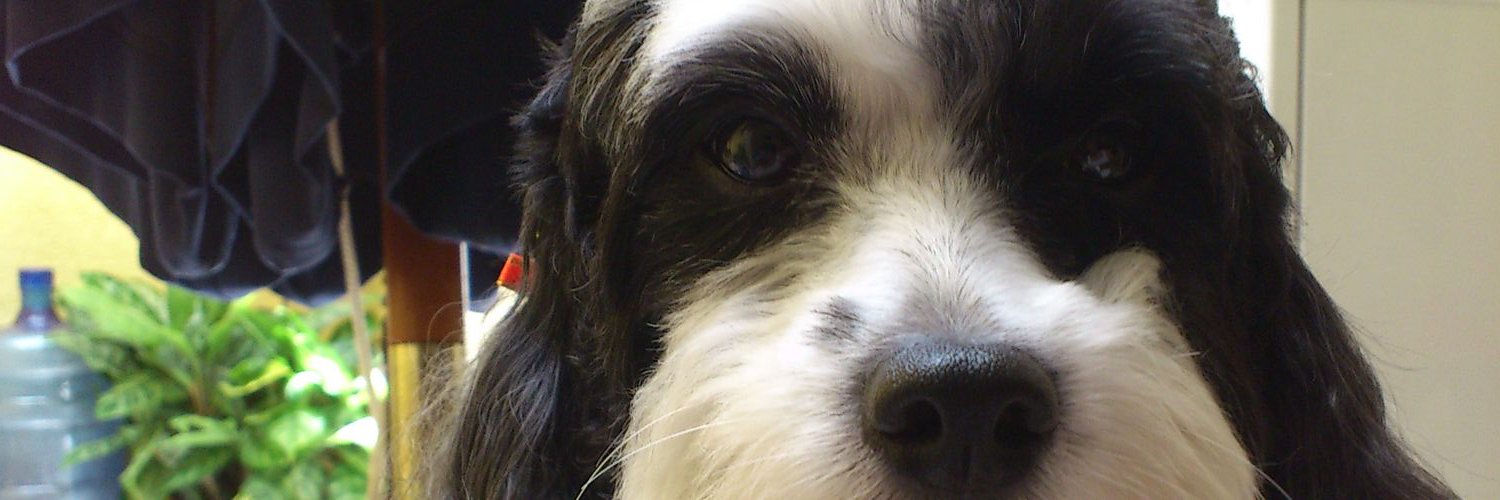 edwynmr's profile banner image