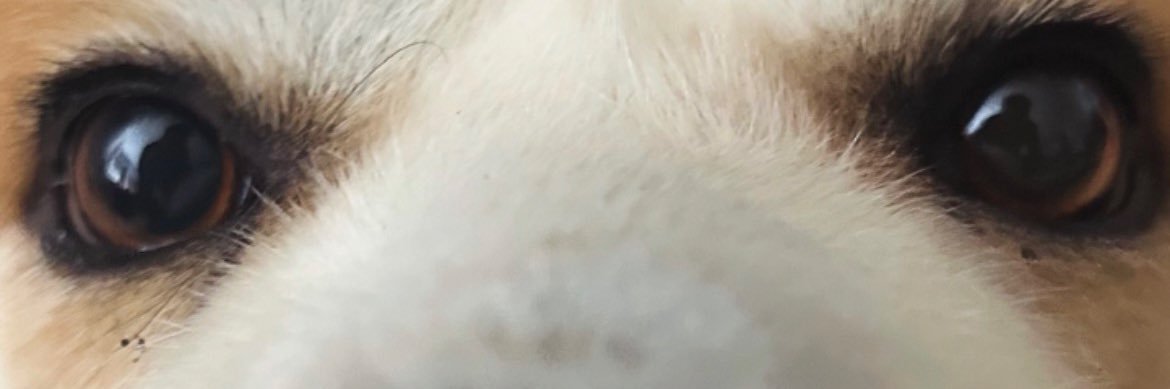 3arrbi216's profile banner image