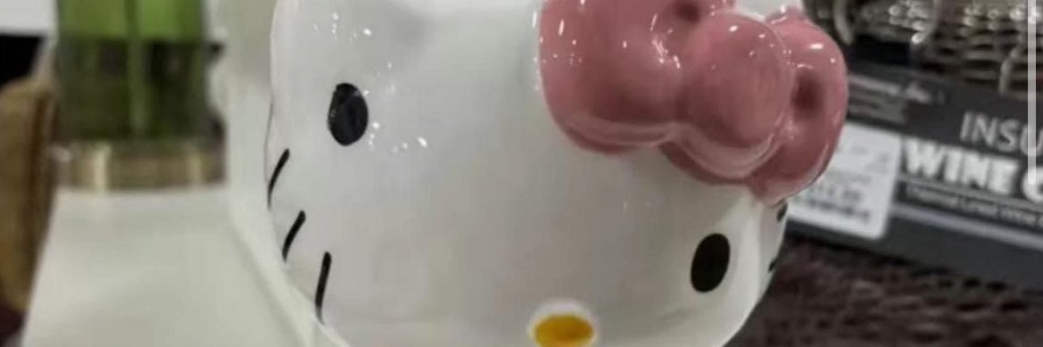 deepfriedemily's profile banner image