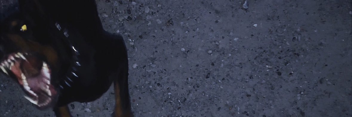 Kmilmyh's profile banner image