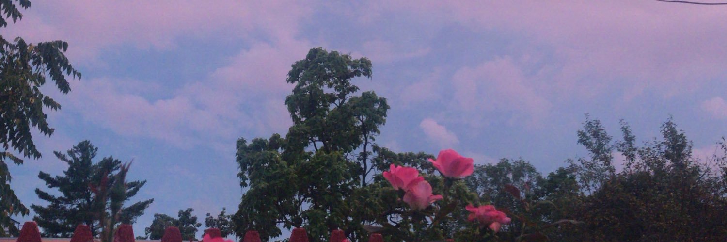 ayedanela's profile banner image