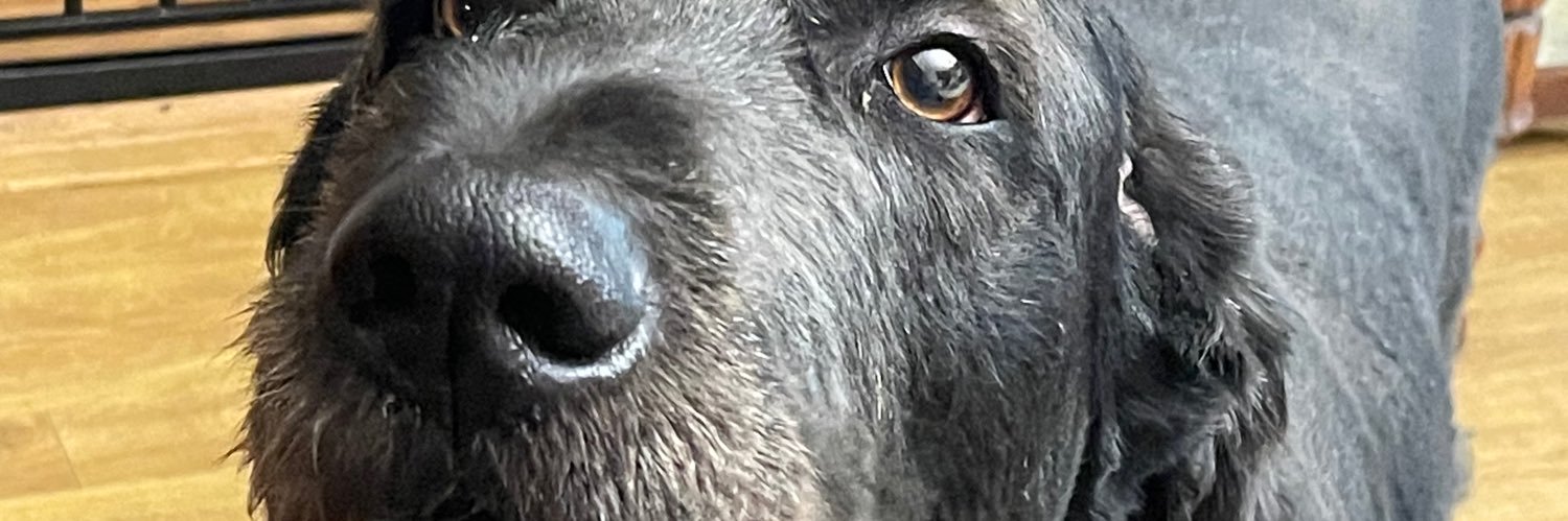 KKeafer's profile banner image