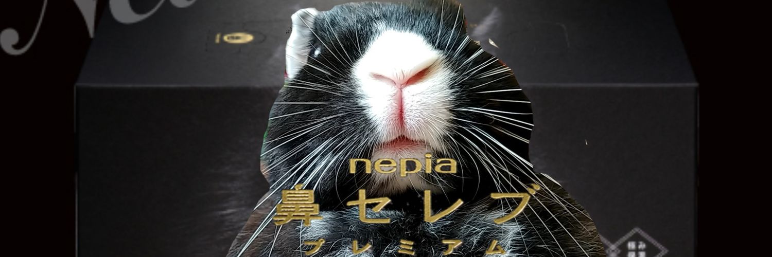 うさぎのアルフォンス banner