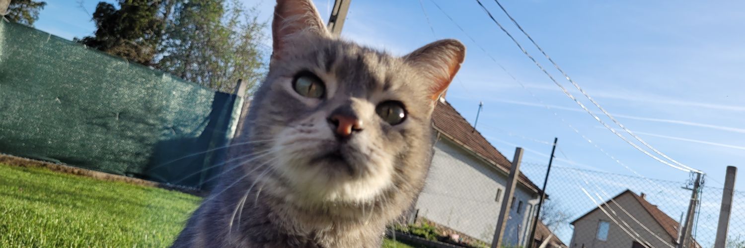 milantuske's profile banner image