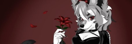noraghxst's profile banner image