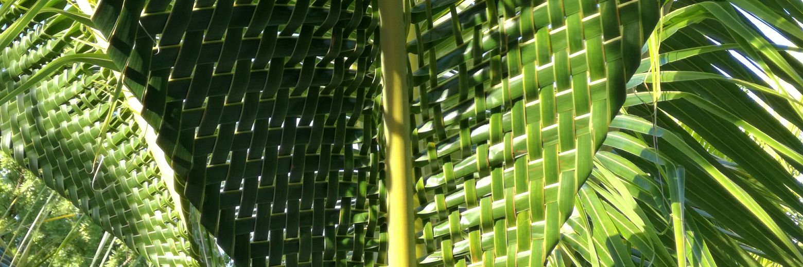 Jen_Gabriele's profile banner image