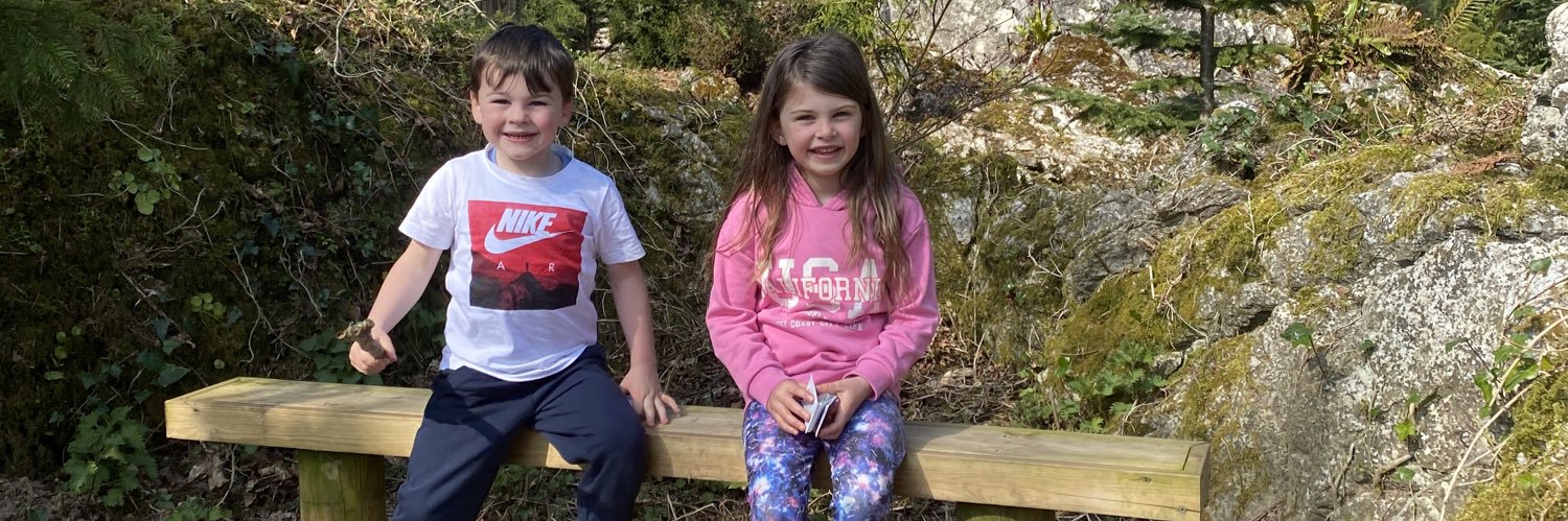 Denis Fogarty banner