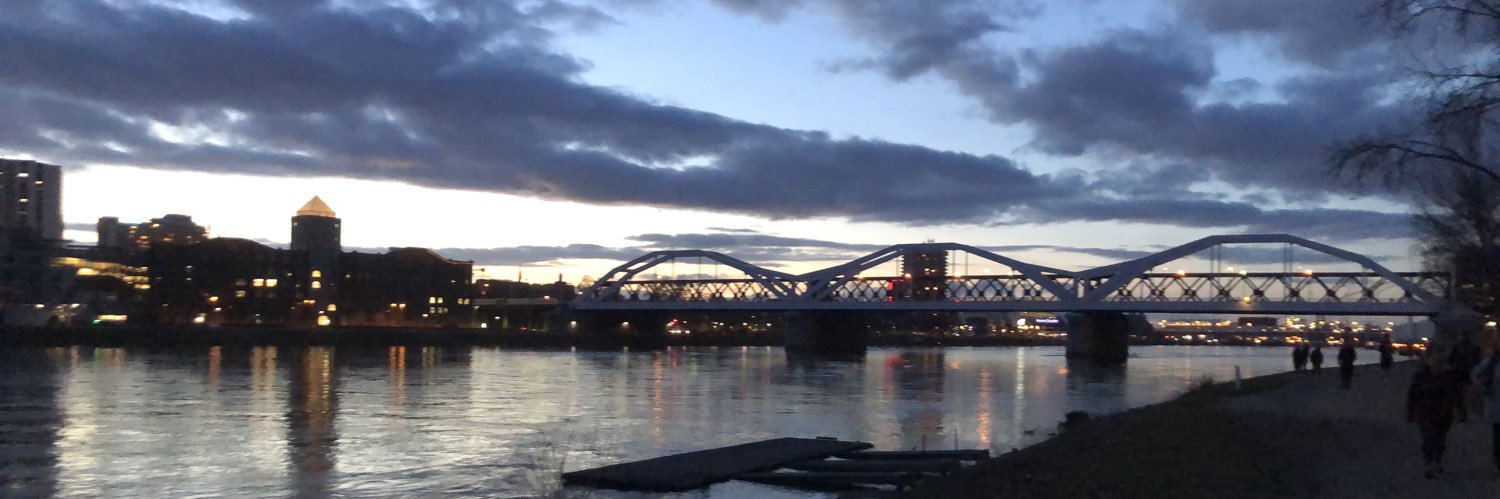 Marc O. Schmidt banner