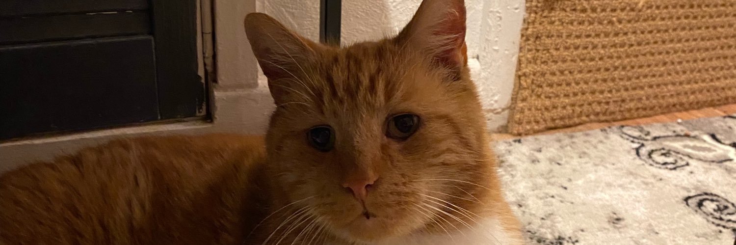 abbycookee's profile banner image
